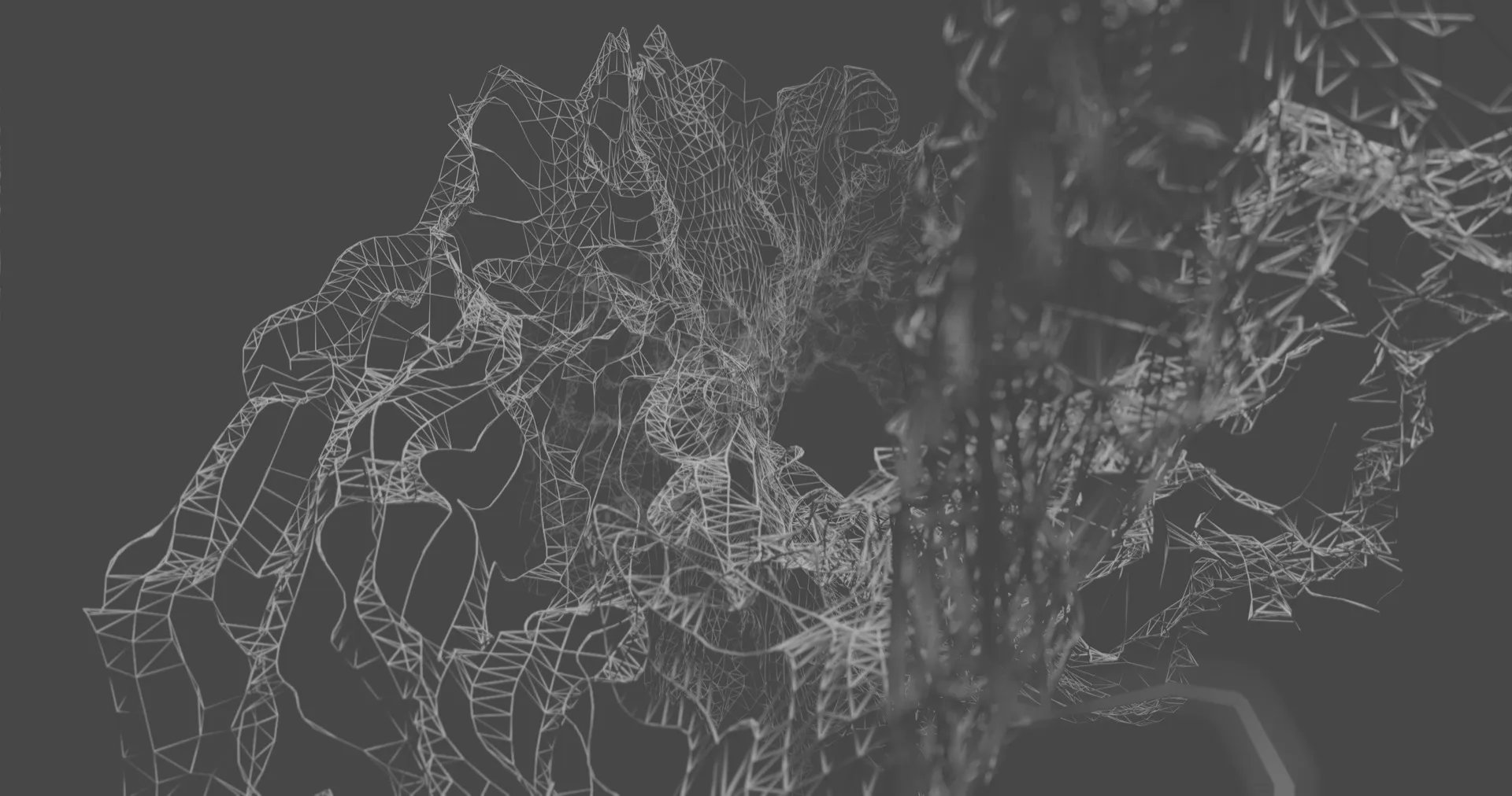 Procedural Design: Abstract Networks