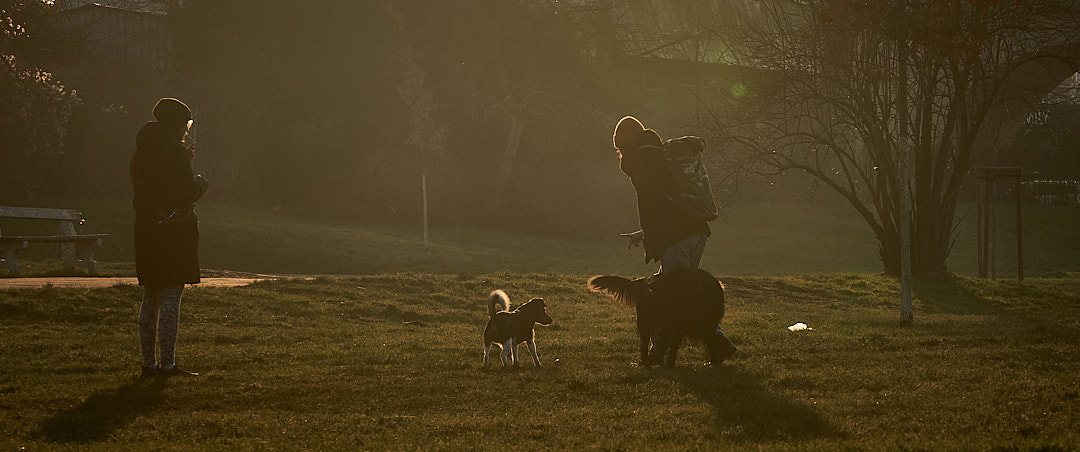 Cinematic — photo 12